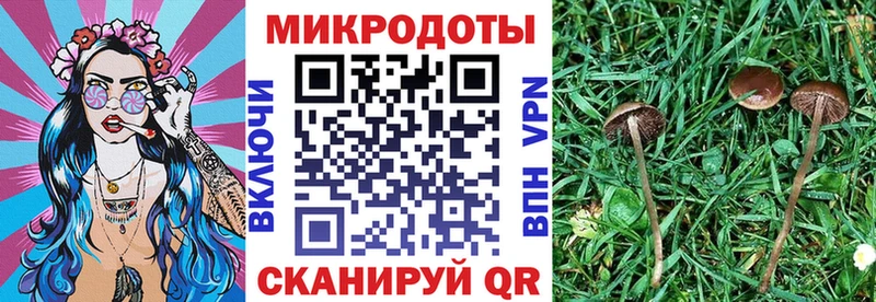 Галлюциногенные грибы ЛСД  закладка  blacksprut ссылка  Гороховец 
